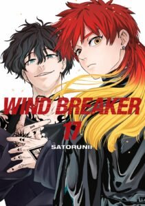 Wind Breaker ~ Vol. 17